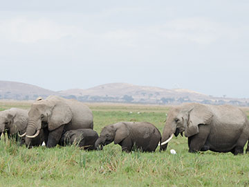 Baringo safaris