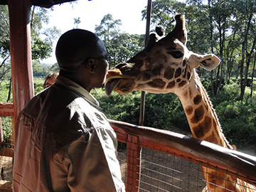 Nairobi Safaris